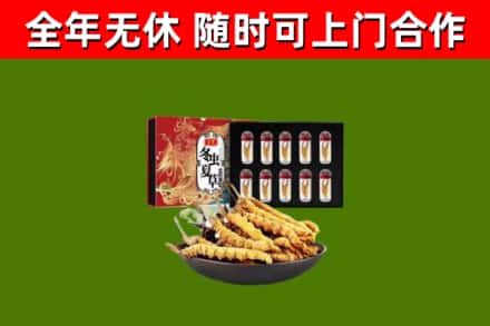 突泉烟酒回收冬虫夏草礼盒.jpg